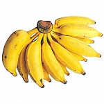 Banana Prata Embalagem 1kg