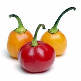 Pimenta Bode 100g